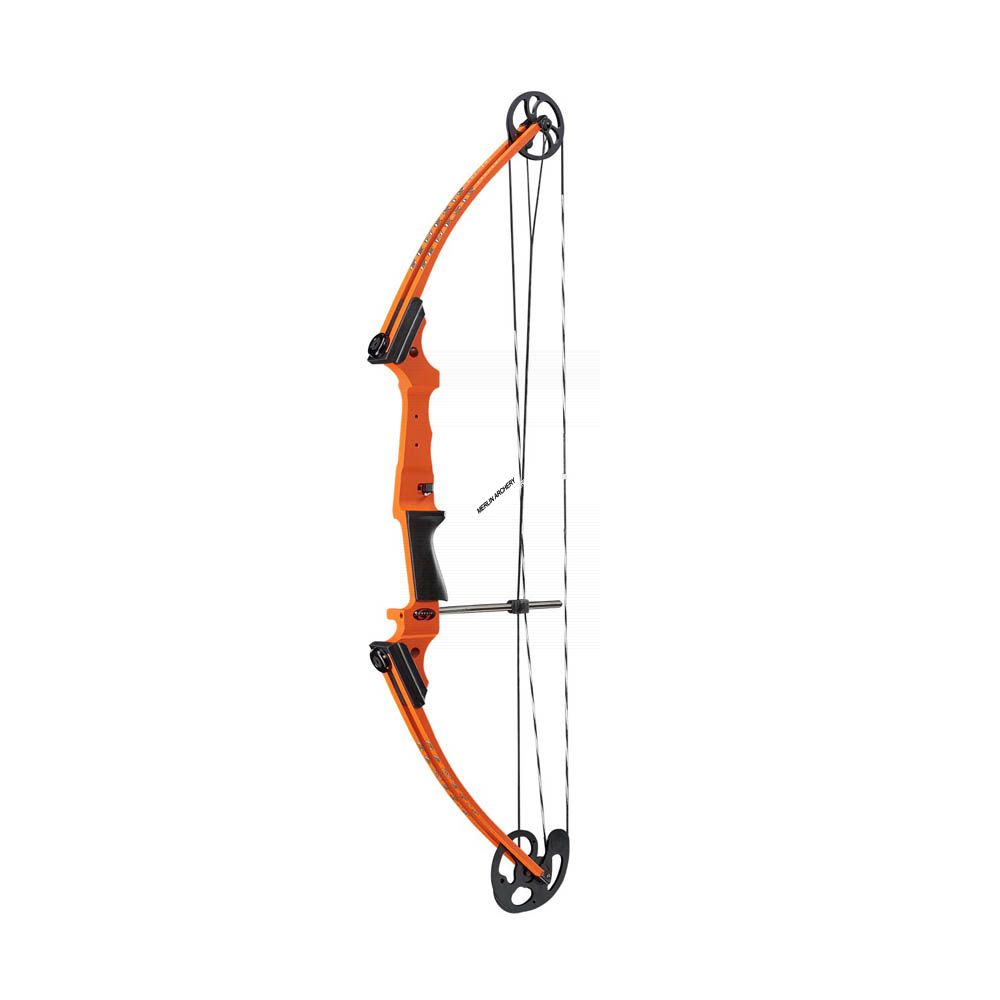 Genesis Original Compound Archery Kit w/ Arrows Right Hand Black Quiver Bow 