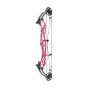 Hoyt Concept FX Compound Bow
