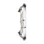 Hoyt Concept FX Compound Bow