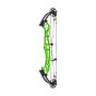Hoyt Concept FX Compound Bow