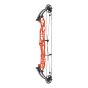 Hoyt Concept X 37 Compound Bow