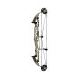 Hoyt Stratos 36 HBT Compound Bows