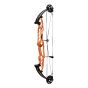 Hoyt Stratos 36 HBT Compound Bows 2024