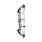 Hoyt Stratos 36 SVX Compound Bows