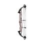 Hoyt Stratos 36 SVX Compound Bows