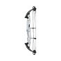 Hoyt Stratos 36 SVX Compound Bows