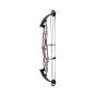 Hoyt Stratos 40 SVX Compound Bows