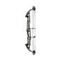 Hoyt Stratos 40 SVX Compound Bows