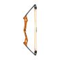 Bear Archery Apprentice Bow Set 