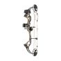 Bear Royale RTH Compound Bow