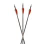 Carbon Express Nano .166 - Ready to Use
