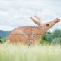 Wildcrete 3D Target - Aardvark