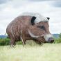 Wildcrete 3D Target - Wild Boar 'Giant'
