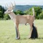 Wildcrete 3D Target - White Tail Deer