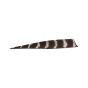 Bearpaw Feathers RW 3" Shield - Natural Barred