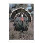 Delta Mckenzie Target Face - Full Strut Turkey