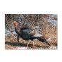 Delta Mckenzie Target Face - Wild Turkey
