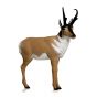Delta Mckenzie 3D Backyard - Antelope