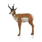 Delta Mckenzie 3D Pro Series - Pronghorn Antelope