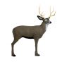 Delta Mckenzie 3D Pro Series - Mule Deer