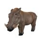 Delta Mckenzie 3D Pro Series - African Warthog