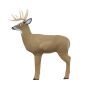 Field Logic Big Buck 3D Target