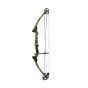 Mathews Genesis Compound Bow