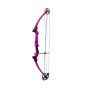 Mathews Genesis Compound Bow