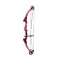 Mathews Mini Genesis Compound Bow