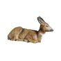 Natur Foam 3D Target - Roe Deer Sitting