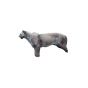Natur Foam 3D Target - Puma Standing