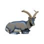 SRT 3D Target - Iberian Ibex Bedded