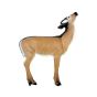 Wildlife 3D Target - Doe Eating