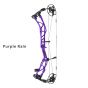Elite Allure Compound Bow