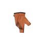 Bearpaw Bow Glove Archer