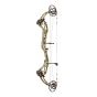 Bear Inception Compound Bow