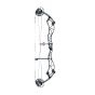 Bowtech Reckoning Compound Bow