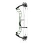 Bowtech Ascend Compound Bow