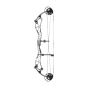 Bowtech Reckoning Compound Bow