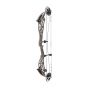 Bowtech Reckoning Compound Bow