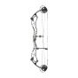 Bowtech Reckoning Compound Bow