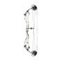 Bowtech Reckoning Compound Bow