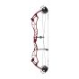 Bowtech Reckoning Compound Bow