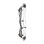 Bowtech Reckoning Compound Bow