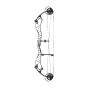 Bowtech Reckoning Compound Bow