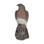 Bearpaw Franzbogen 3D Target - Hawk