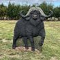 Wildcrete 3D Target - Cape Buffalo Flat