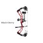 Elite Emerse RTS Compound Bow