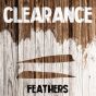 Clearance - Feathers