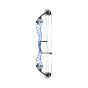 Bowtech Reckoning 39 Gen-2 Compound Bow